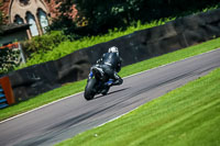 PJ-Motorsport-Photography-2020;anglesey;brands-hatch;cadwell-park;croft;donington-park;enduro-digital-images;event-digital-images;eventdigitalimages;mallory;no-limits;oulton-park;peter-wileman-photography;racing-digital-images;silverstone;snetterton;trackday-digital-images;trackday-photos;vmcc-banbury-run;welsh-2-day-enduro
